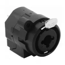 Plug Adaptador Santo Angelo XLR x P10 Combo