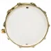 Caixa DW Collector's 8x14 Gold Glass - Gold Hardware