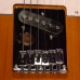 Guitarra Tagima TW-55 SB Telecaster 2S