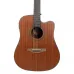 Violão Benson Elétrico Folk Dreadnought - GDM100CE NS
