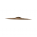 Prato Domene Cymbals Dante Hole Crash 18