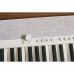 Teclado Casio Tone 76 Teclas CT-S1-76WE